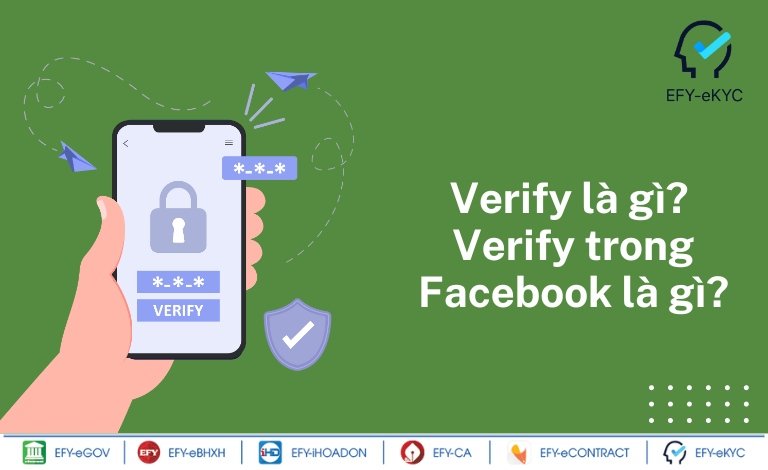 Verify là gì? Verify trong Facebook là gì?